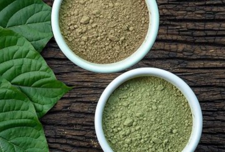 druh kratomu