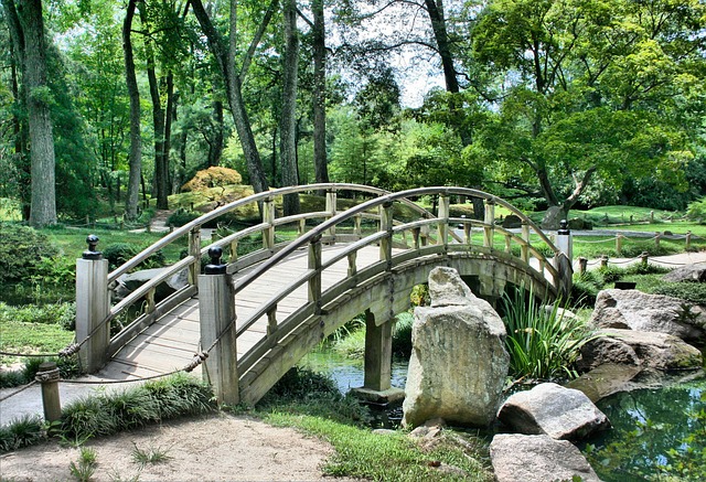 japonská zahrada